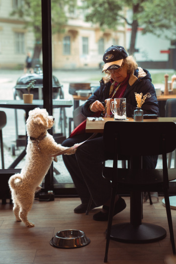 dáma se svým bílým psíkem u vypitého piva ve Fuel bistru